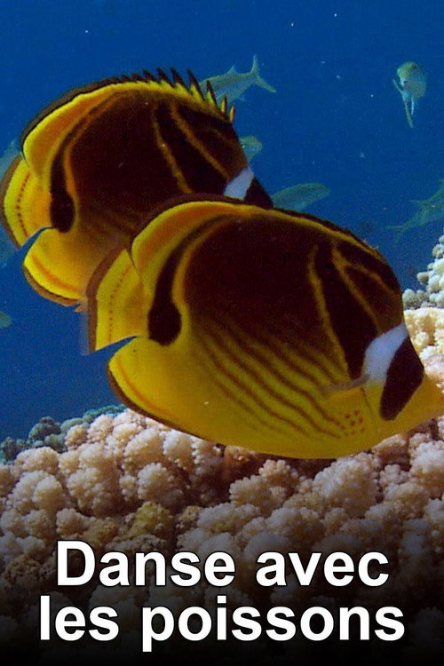 Danse avec les poissons poster