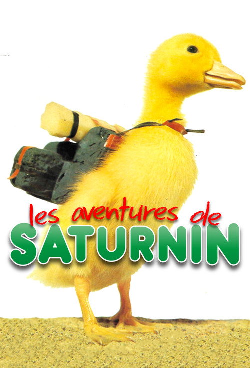 Les Aventures de Saturnin poster