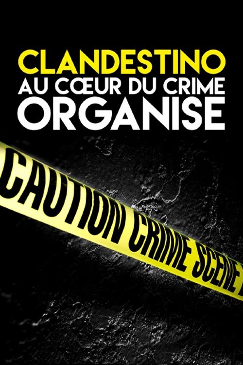 Clandestino poster