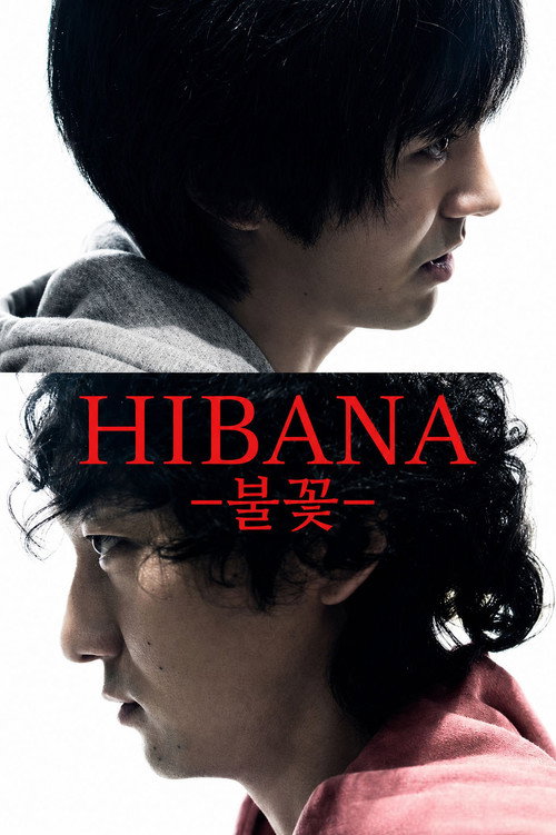 Hibana: Spark poster