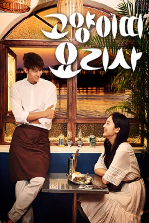 Cat Chef poster