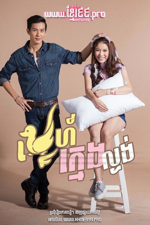 Ugly Duckling poster
