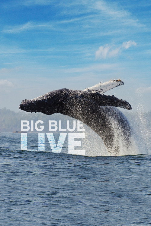 Big Blue Live poster