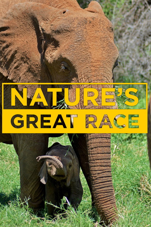 Nature's Epic Journeys poster