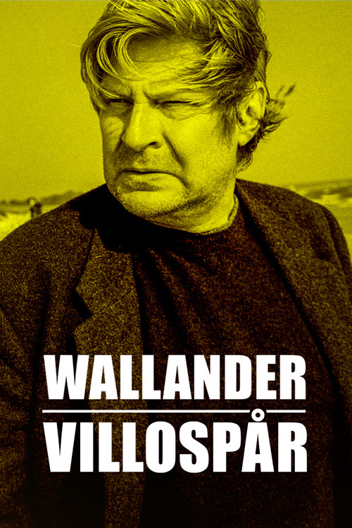 Wallander: Sidetracked poster