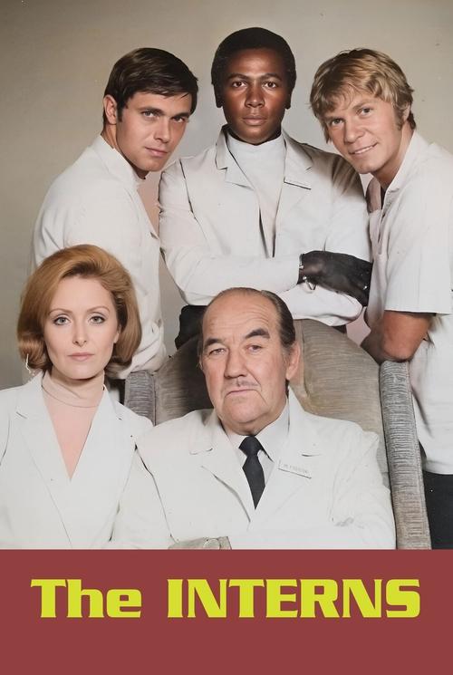 The Interns poster