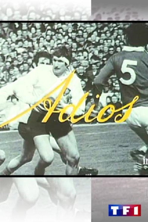 Adios poster
