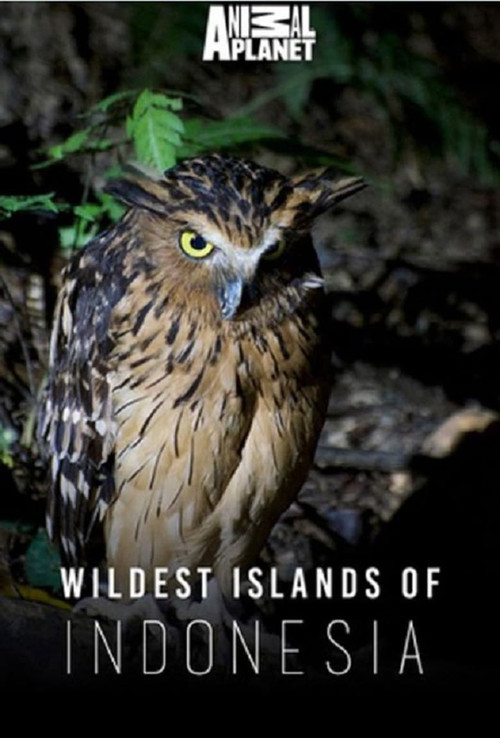 Wildest Islands of Indonesia poster