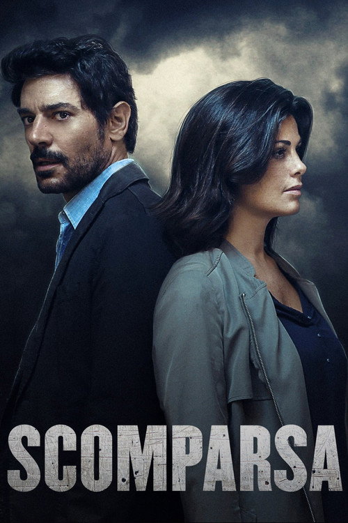 Disappeared poster