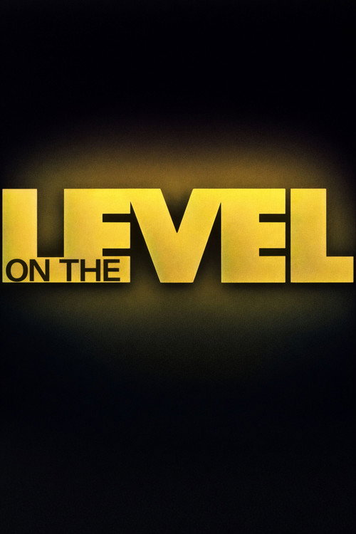On The Level poster