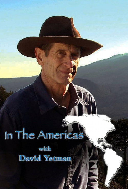 In the Americas poster
