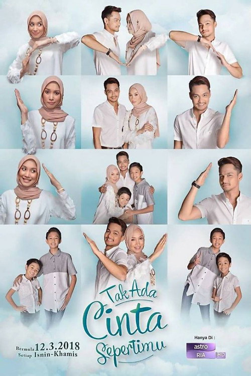 Tak Ada Cinta Sepertimu poster