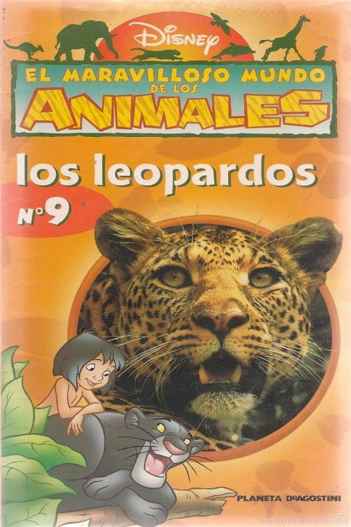 The Wonderful World of Animals poster