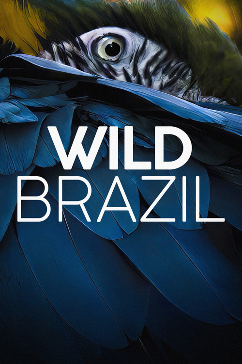 Wild Brazil poster