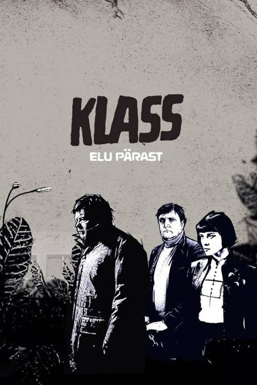 The Class: Life After poster
