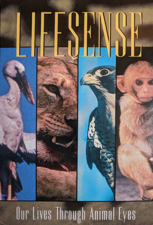 Lifesense poster