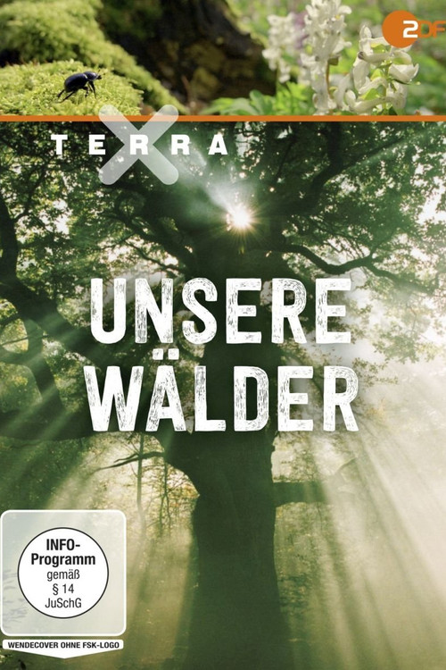 Terra X - Unsere Wälder poster