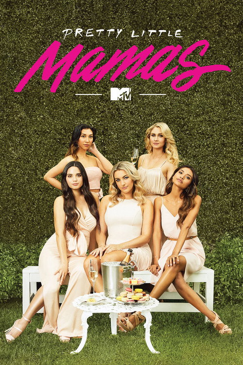 MTV's Pretty Little Mamas poster