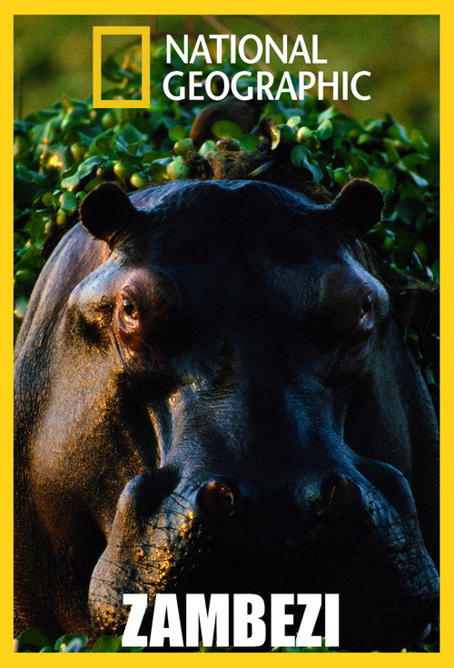 Zambezi poster