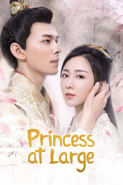 Princess at Large poster