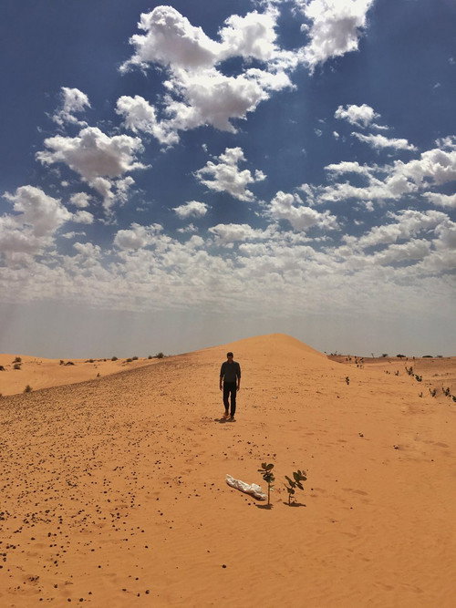Sahara poster