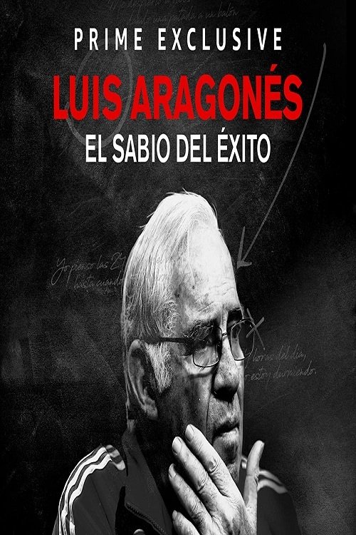 Luis Aragonés, el sabio del éxito poster