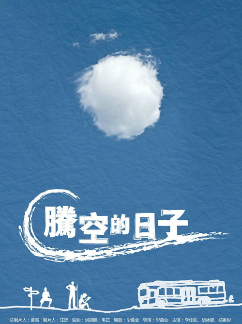 Cocosoul poster