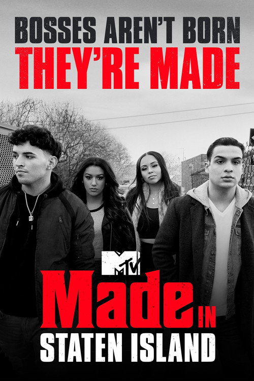 Made in Staten Island poster