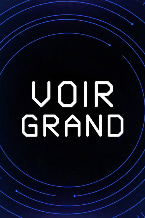 Voir grand poster