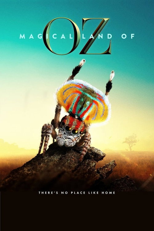 Making Magic poster