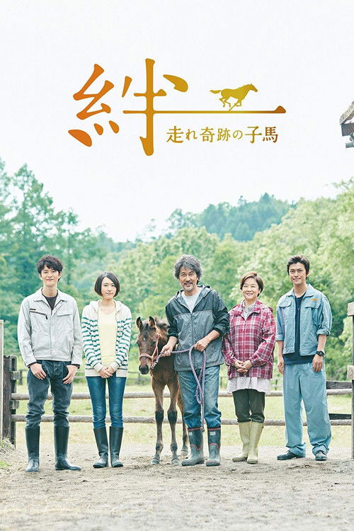 Ties: A Miraculous Colt poster