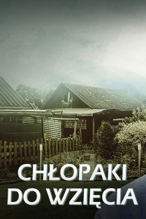 Chłopaki do wzięcia poster