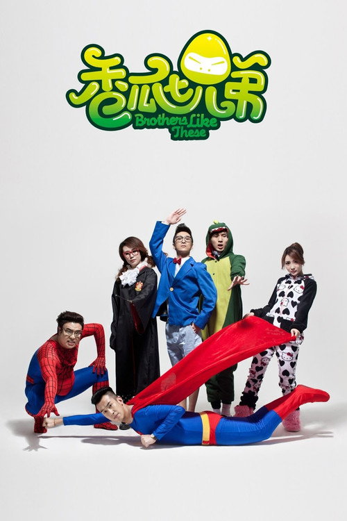 Brothers Like These poster