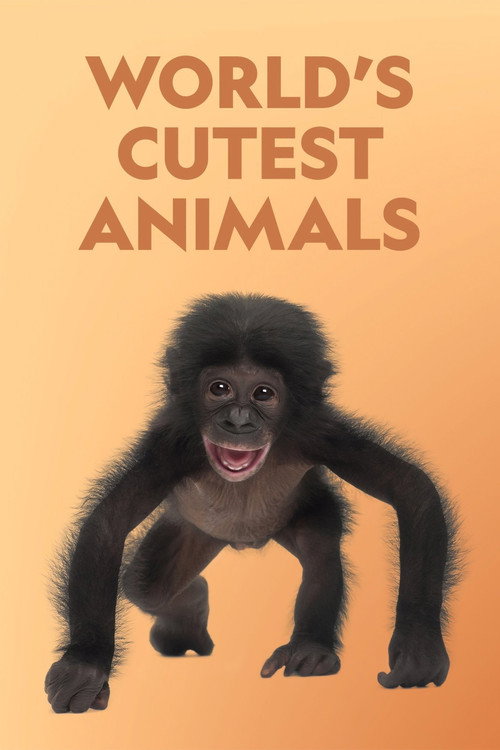 World's Cutest Animals poster
