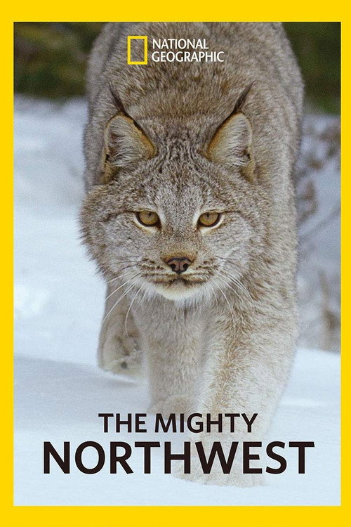 The Mighty Northwest poster