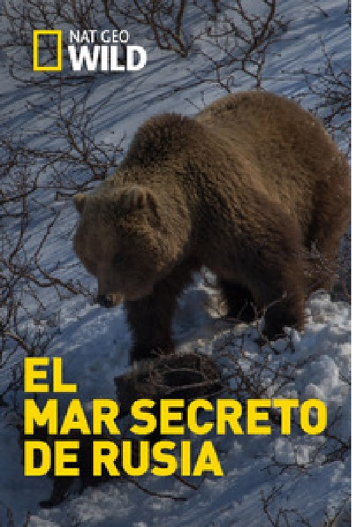 El mar secreto de Rusia poster
