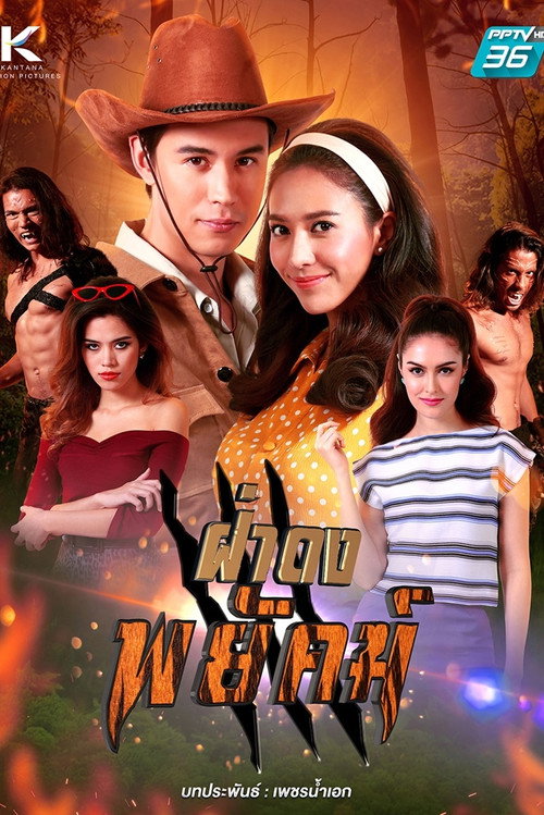 ฝ่าดงพยัคฆ์ poster