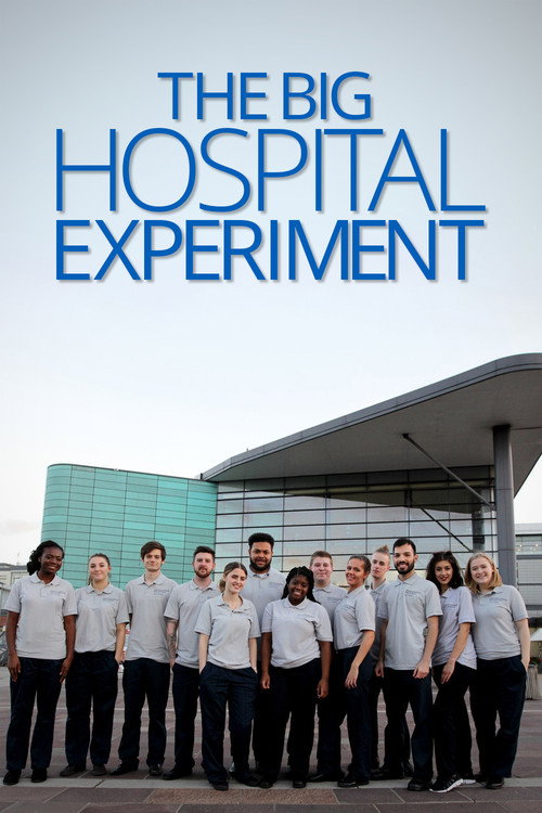 The Big Hospital Experiment poster