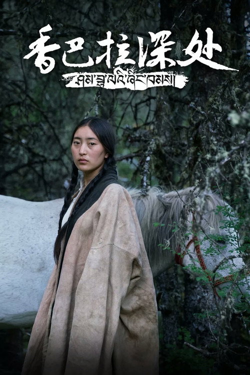 香巴拉深处 poster