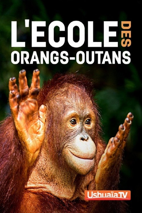 L'ecole des orangs-outans poster