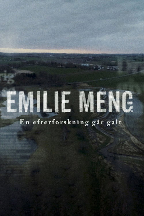 Emilie Meng - an investigation goes awry poster