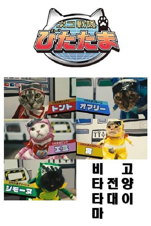 Cat Squadron Vitatama poster