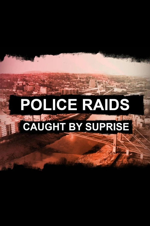 Police Raids: Caught by Surprise poster