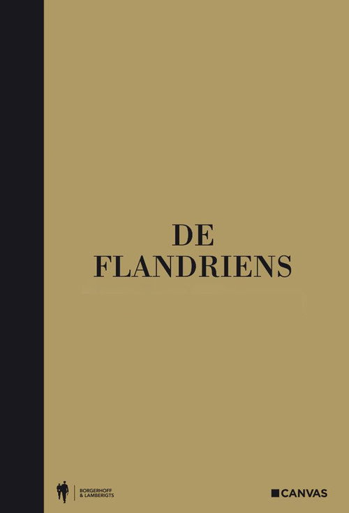 De Flandriens poster