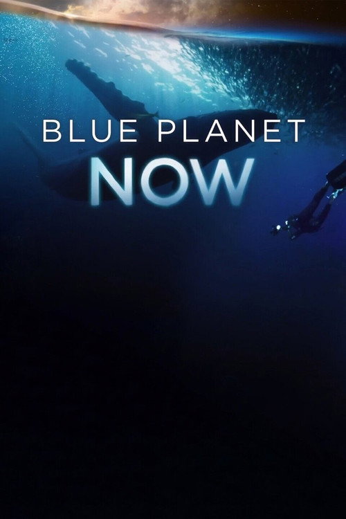 Blue Planet Now poster