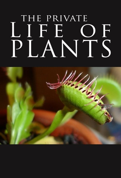 The Private Life of Plants poster
