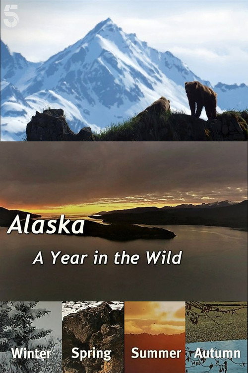 Alaska: A Year in the Wild poster