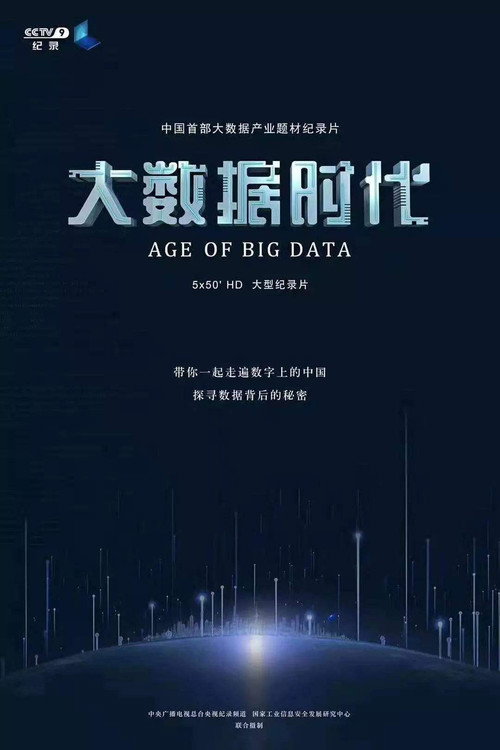 大数据时代 poster